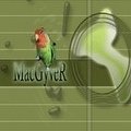 macgyvertr avatarı